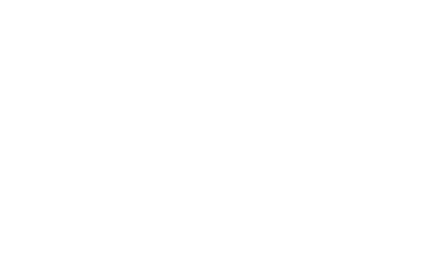 TSI Logo White