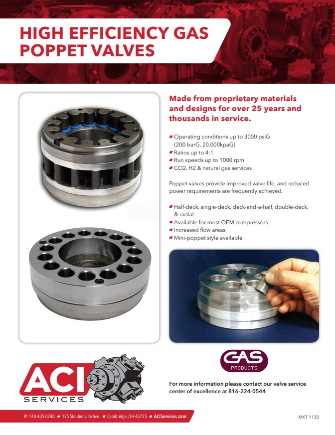 MKT-1130-ACI-Poppet-Valves.jpg